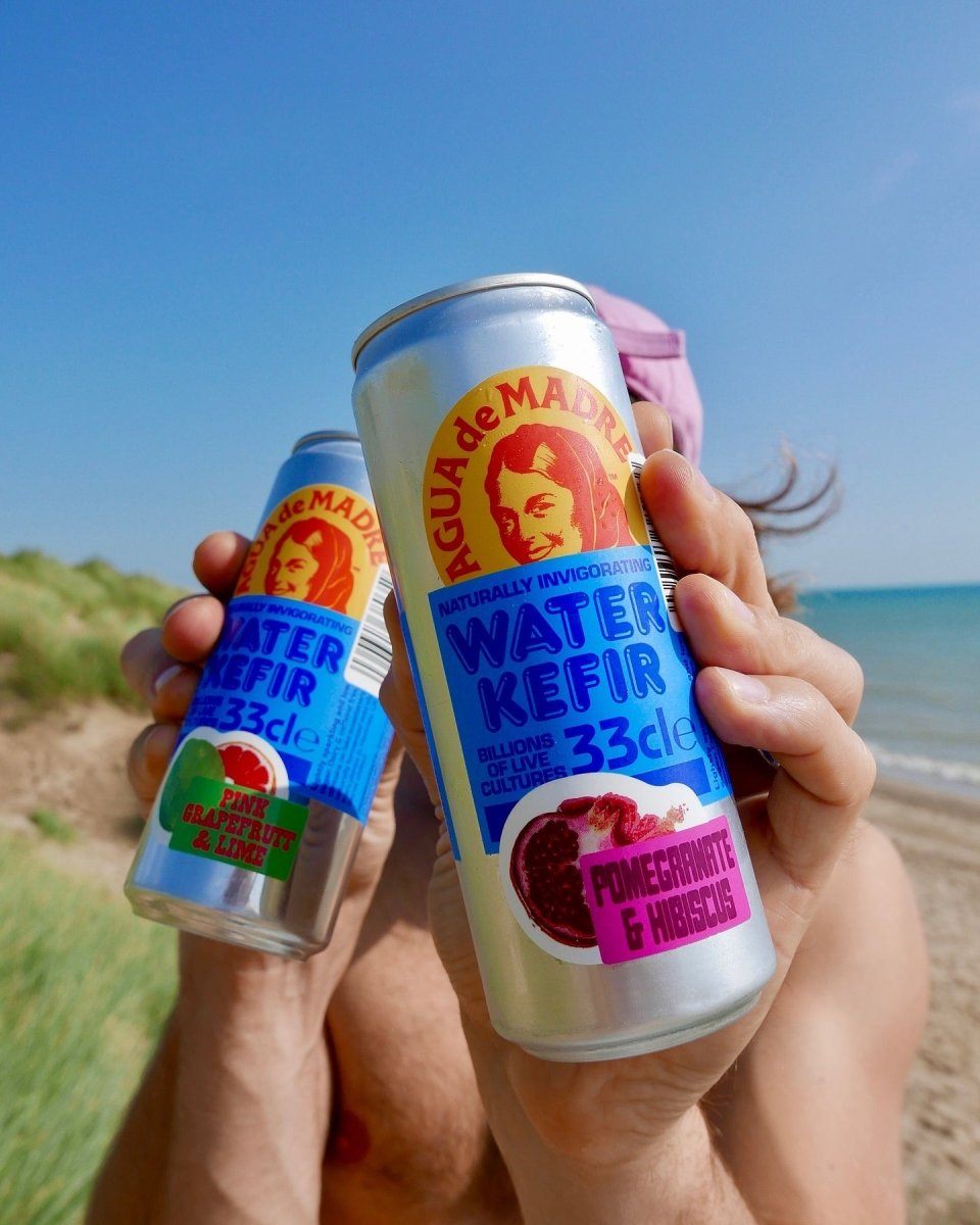 Agua de Madre Water Kefir - Pomegranate & Hibiscus Soft Drink (0.0% ABV) - Wise Bartender - Spirit