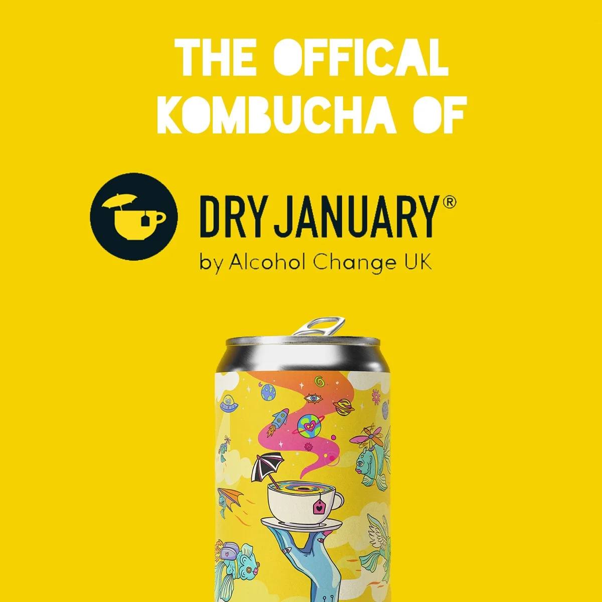 Counter Culture 'Try Dry' Citrus Yuzu Organic Kombucha Soda Can (0.0% ABV) - Wise Bartender - Spirit