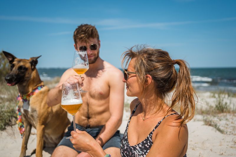 Insel - Brauerei 'Surfer's' Alcohol Free Summer Ale (0.5% ABV) - Wise Bartender - Beer