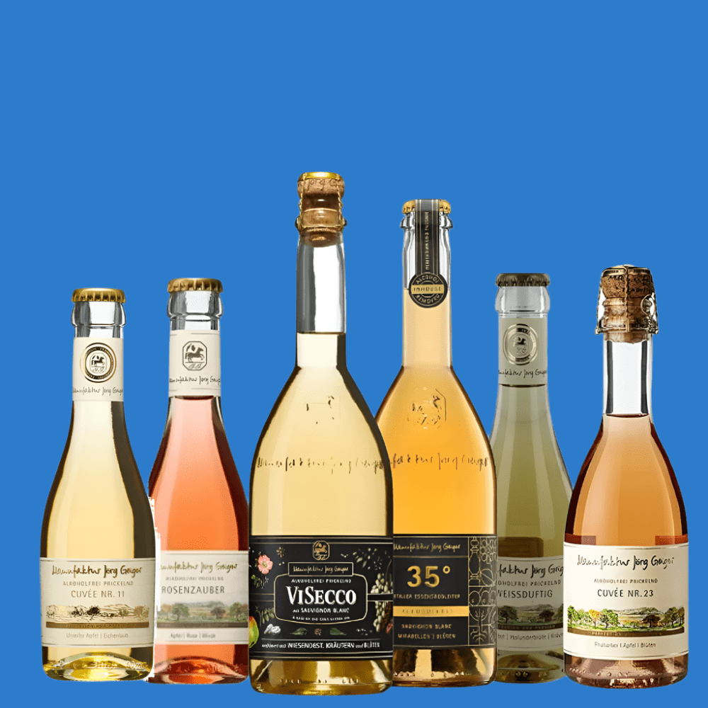 Jörg Geiger 'Taster Box' 6 Alcohol Free Wine Wise Pack (0.5% ABV) - Wise Bartender - Mixed Pack