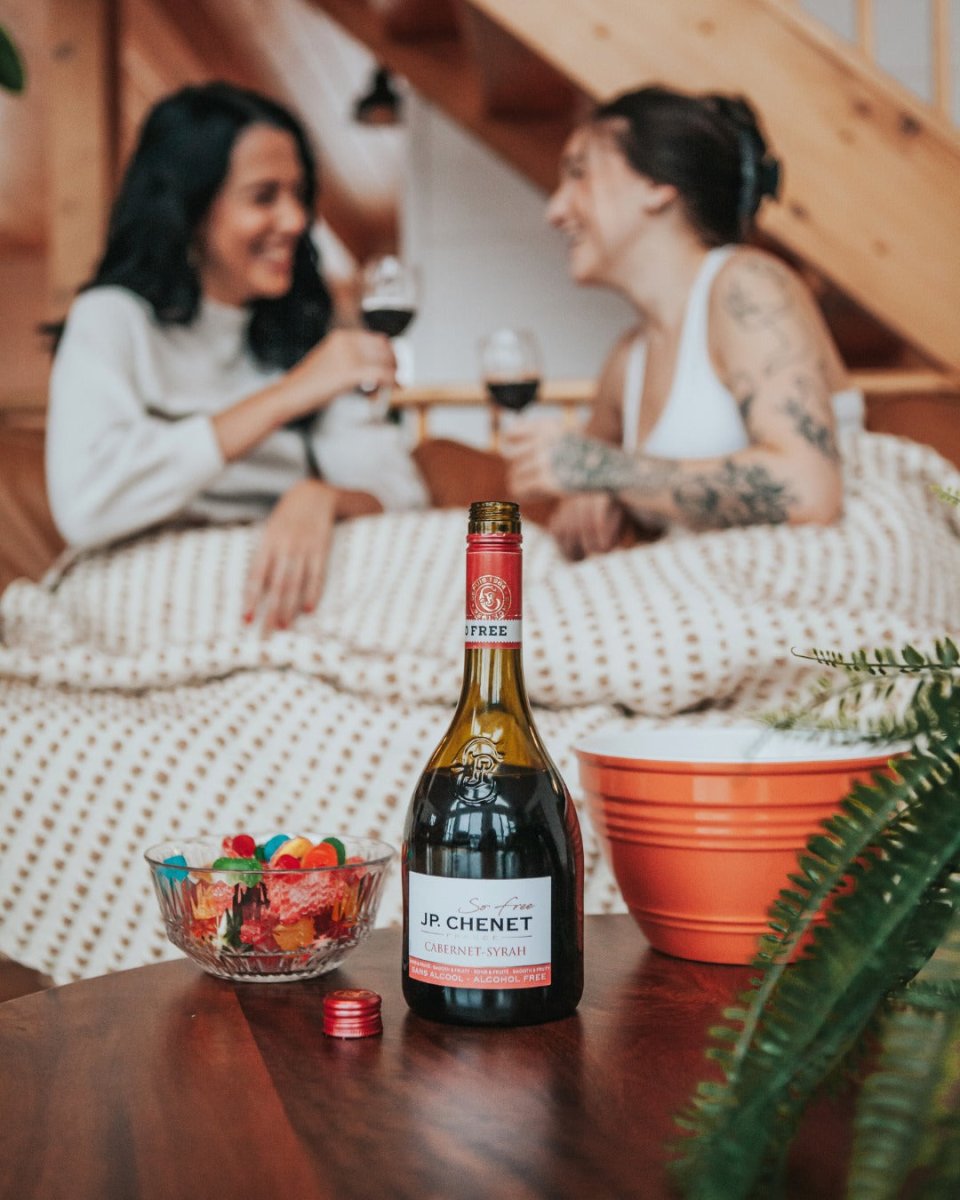 JP Chenet Cabernet Syrah Alcohol Free Red Wine (0.5%ABV) - Wise Bartender - wine