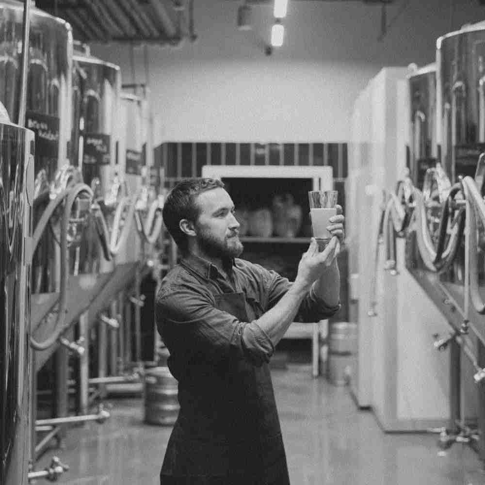 Pivot Modern Lager 0.5% | Alcohol - Free Lager | Vegan | Crisp & Refreshing | 330ml - Wise Bartender - Beer