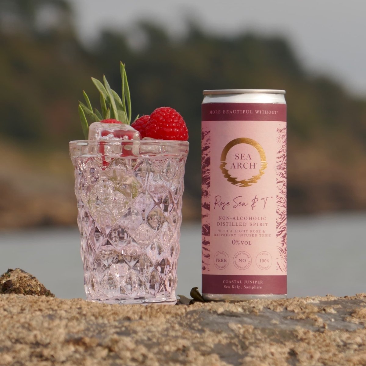 Rose Sea & T Alcohol Free Sea Arch Cocktail Can (0% ABV) - Wise Bartender - Spirit