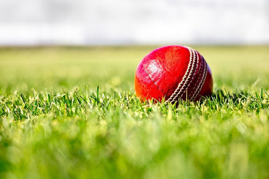 5 AF Drinks to Toast to England at the Ashes - Wise Bartender