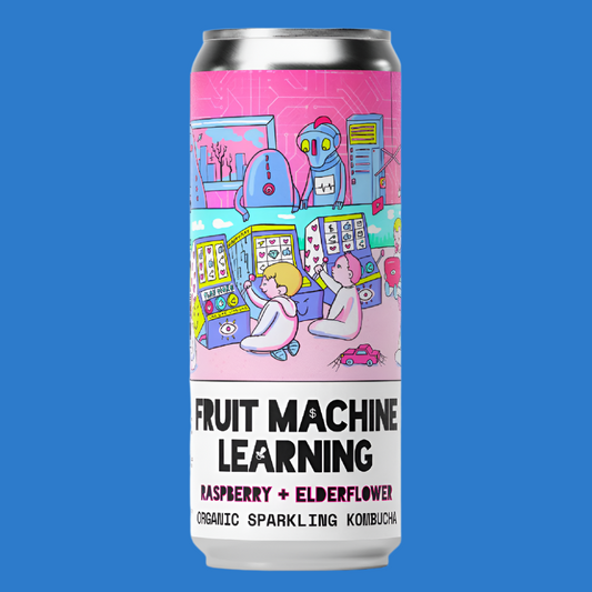 Counter Culture 'Fruit Machine' Raspberry & Elderflower Organic Kombucha Soda Can (0.0% ABV)