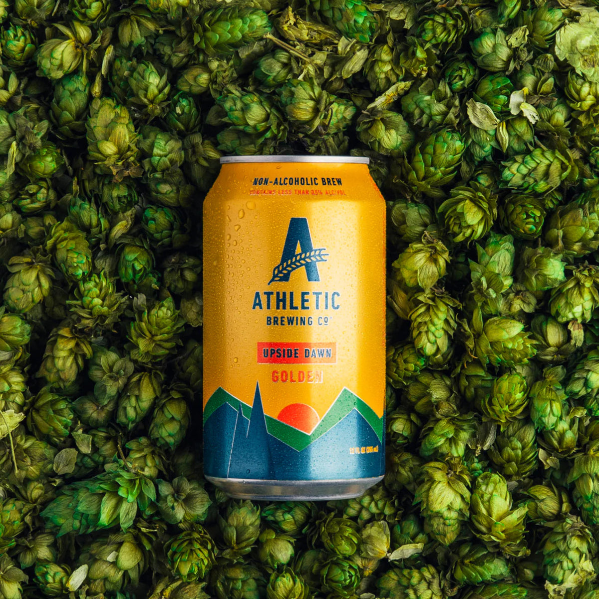 Athletic Brewing Company Upside Dawn Alcohol Free Pale Ale (0.5% ABV) - Wise Bartender - Beer