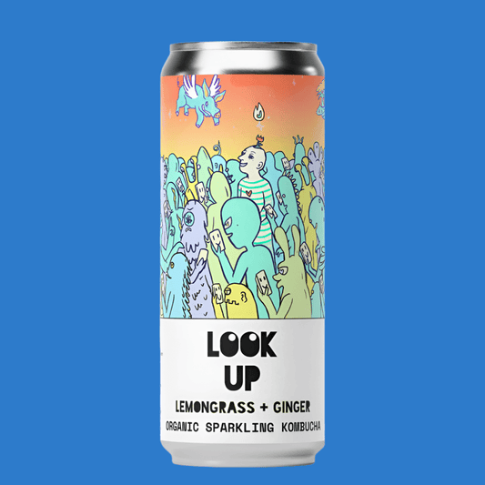 Counter Culture 'Look Up' Lemongrass & Ginger Kombucha Soda Can (0.0% ABV) - Wise Bartender - Spirit