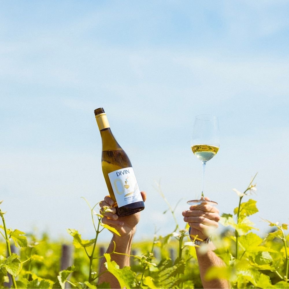 DIVIN 'Chenin Blanc' Alcohol Free White Wine (0.0% ABV) - Wise Bartender - wine