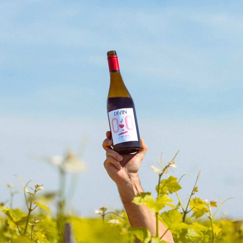 DIVIN 'Pinot Noir' Alcohol Free Wine (0.0% ABV) - Wise Bartender - wine