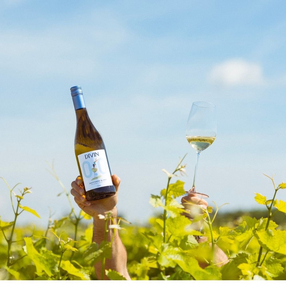 DIVIN 'Sauvignon Blanc' Alcohol Free Wine (0.0% ABV) - Wise Bartender - wine