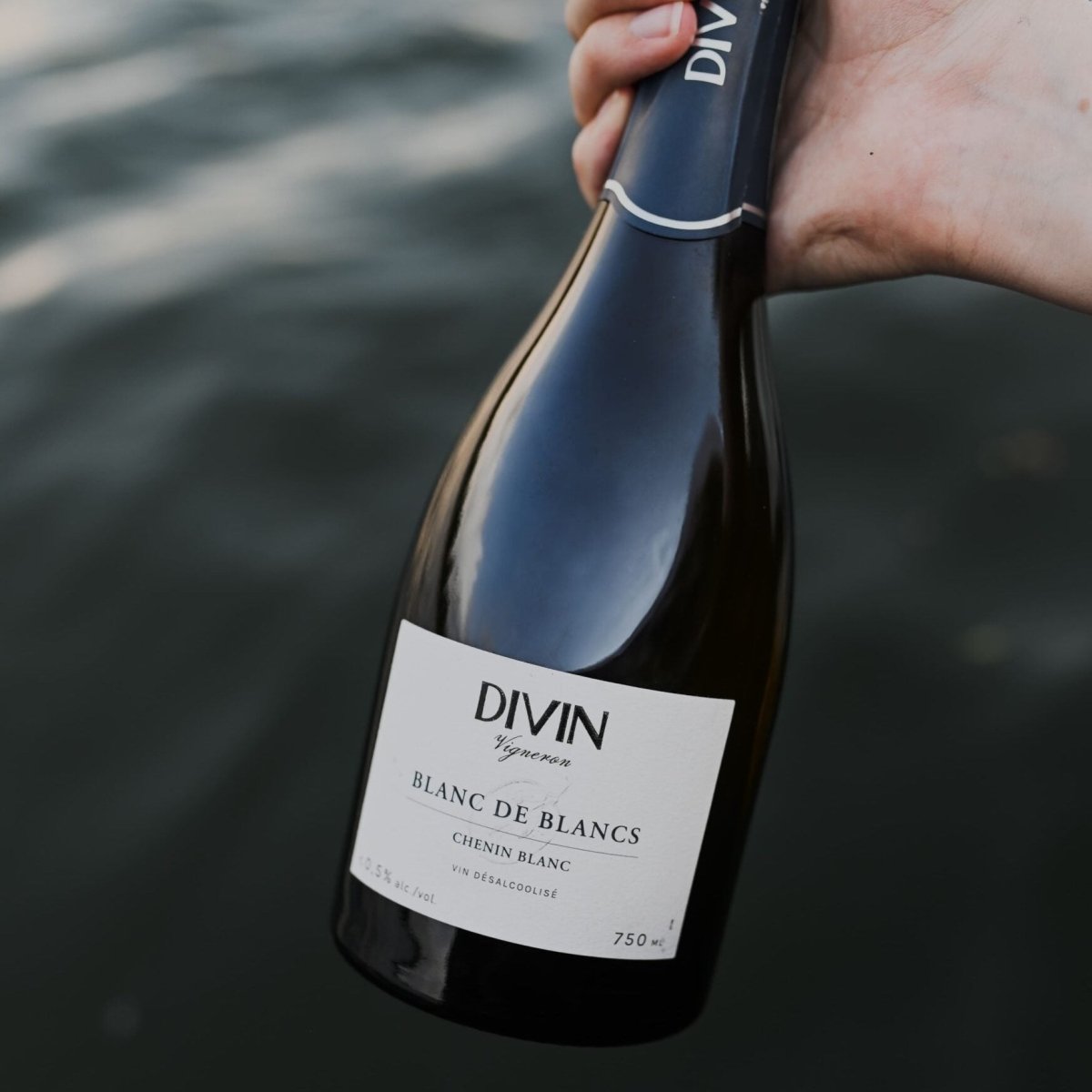 DIVIN Vigneron Blanc de Blancs Sparkling Wine | Alcohol-Free Chenin Blanc | 750ml - Wise Bartender - wine