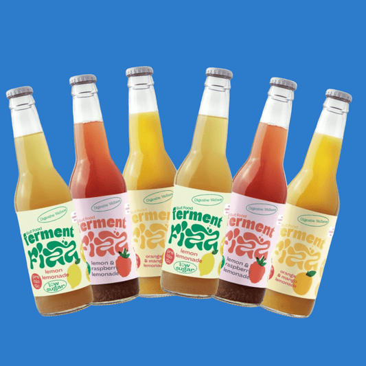 Ferment Fizz Prebiotic Lemonade 6 Bottle Mixed Pack (0% ABV) - Wise Bartender - Spirit