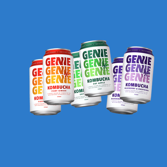 Genie Drinks Kombucha Soda 6 Can Mixed Pack - Wise Bartender - Spirit