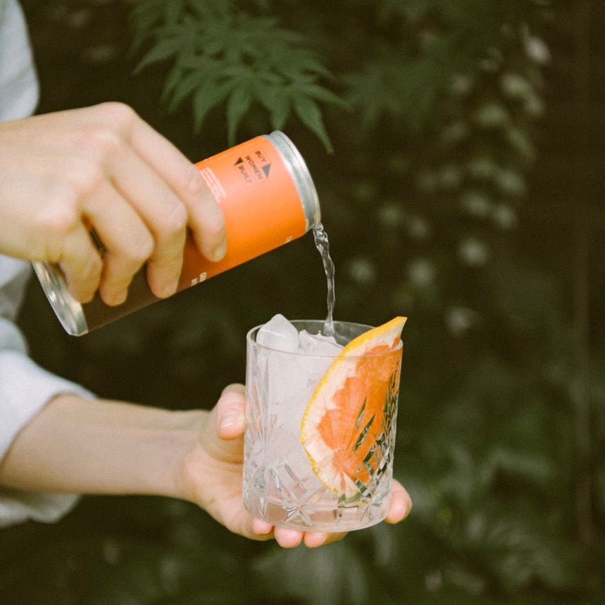 Grapefruit Elderberry Bitters & Skinny Tonic 250ml | The Bitter Club - Wise Bartender - Spirit