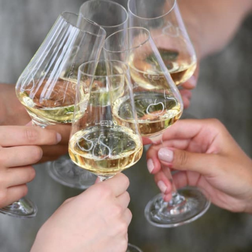 Jörg Geiger Lad’s Love on Meadow Fruit Alcohol Free Sparkling WIne 750ml & 200ml (0% ABV) - Wise Bartender - wine