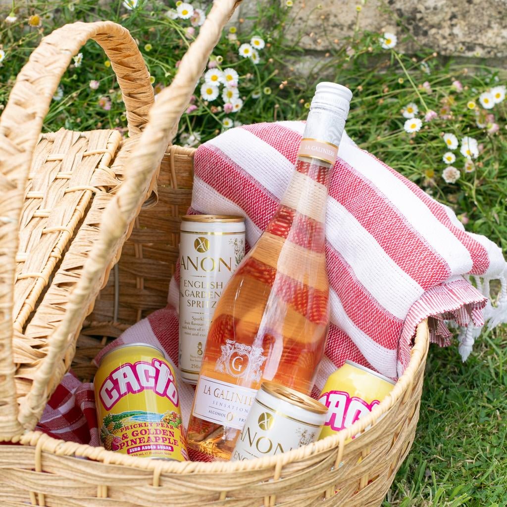 Pop & Pour Picnic Bundle | Alcohol-Free Wine & Cocktail Pack - Wise Bartender - Mixed Pack