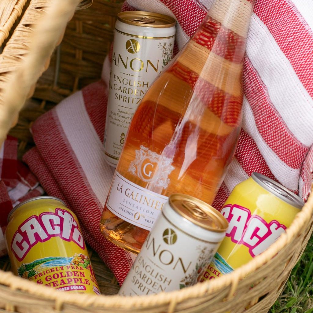 Pop & Pour Picnic Bundle | Alcohol-Free Wine & Cocktail Pack - Wise Bartender - Mixed Pack