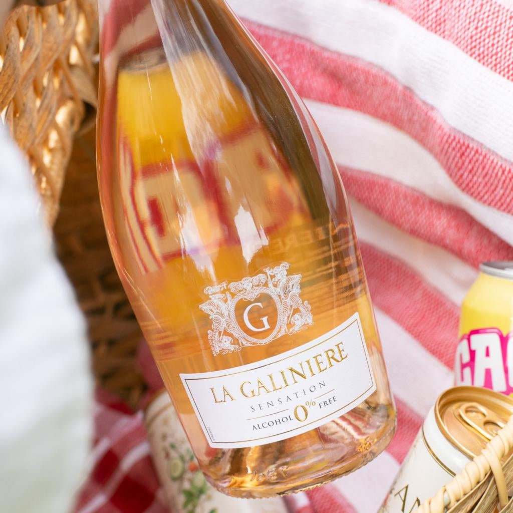 Pop & Pour Picnic Bundle | Alcohol-Free Wine & Cocktail Pack - Wise Bartender - Mixed Pack